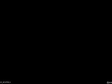 Profile preview
